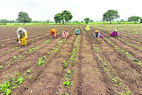 కర్షకలోకం పొలంబాట