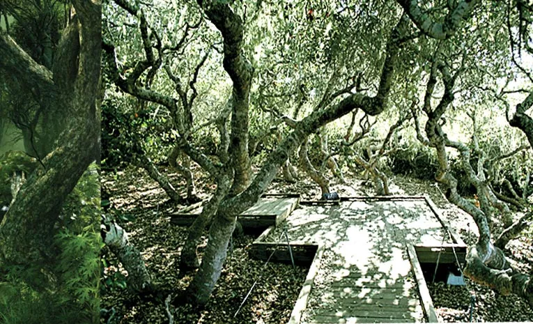 Sanctuary of the World