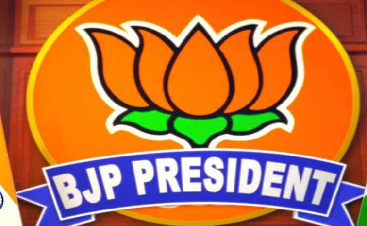 BJP begins process to pick new national president2