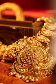 Elevated gold rates could see shifts in demand segments Titan8