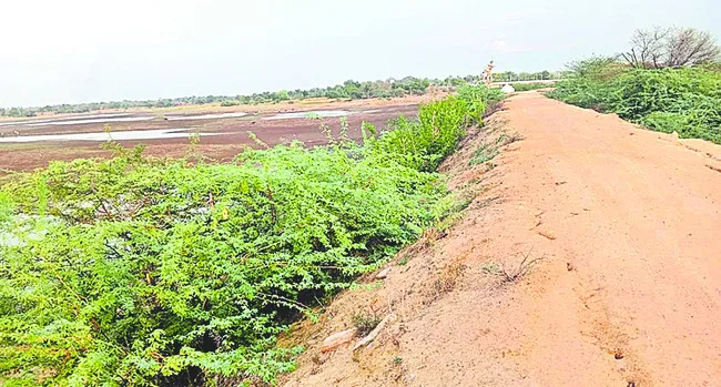 చెరువులపై నిర్లక్ష్యపు నీడ 