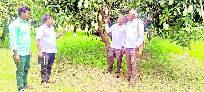 పోలీసు గ్రీవెన్స్‌కు 53 ఫిర్యాదులు 
