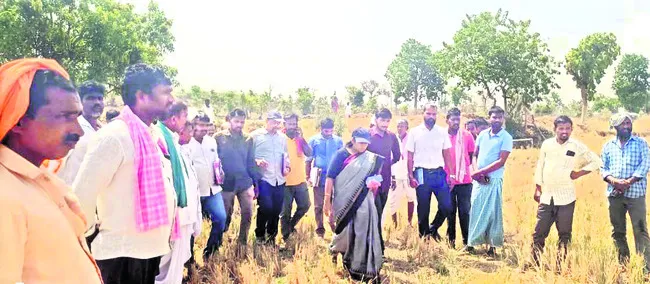 అగ్రస