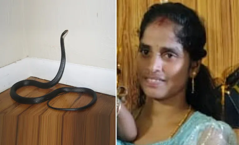 పాముకాటుతో మహిళ మృతి