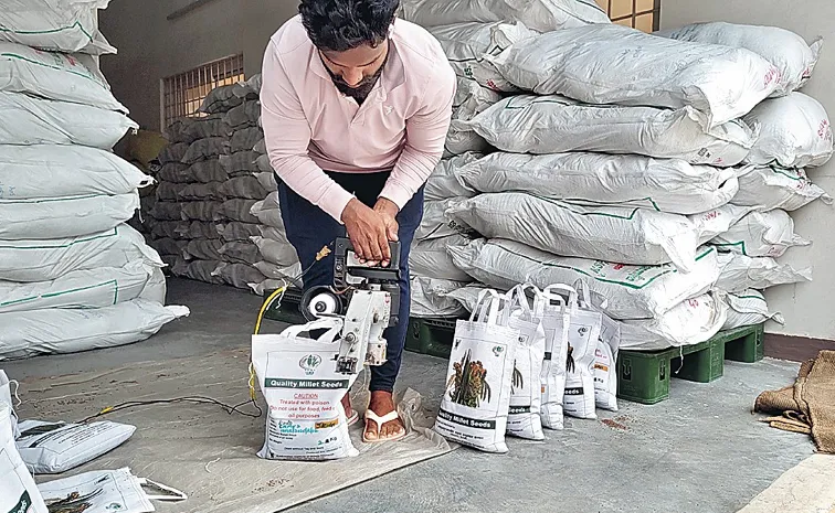 చిరుధాన్యాలను ఎలా విత్తుకుంటే మేలు...? 