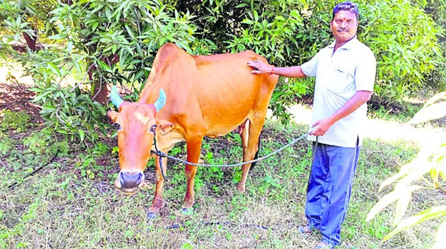 ఖర్చు