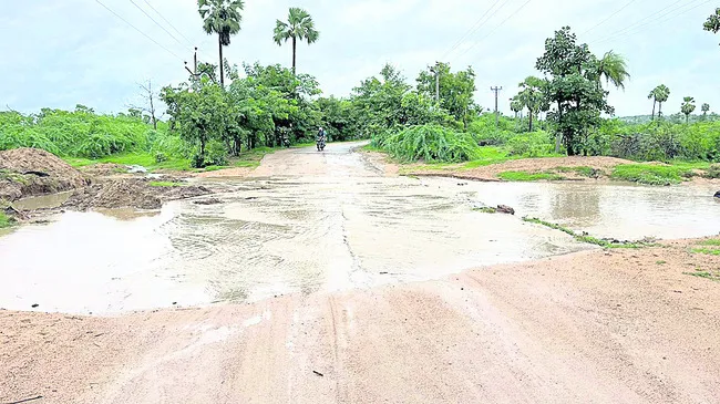 లోలెవ
