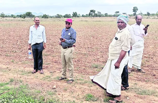 సర్వే
