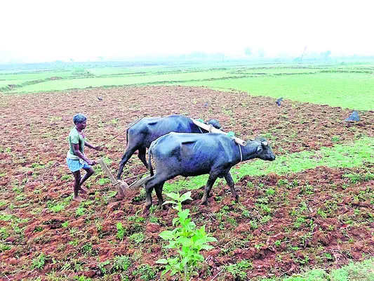 గిరిజ