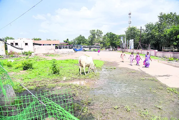 జిల్ల