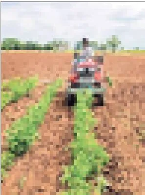 పెట్టుబడి ‘మట్టి’పాలు