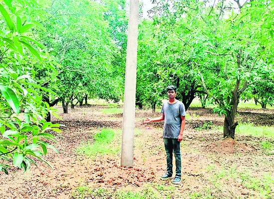 దౌర్జన్యంగా విద్యుత్ స్తంభాల ఏర్పాటు