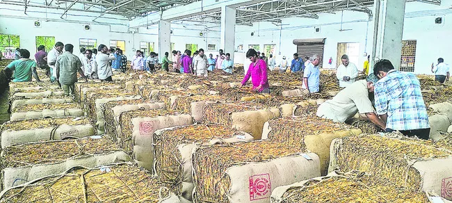 చిగురిస్తున్న ఆశలు