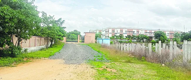కాలేజీకి రోడ్డు నిర్మించరూ?