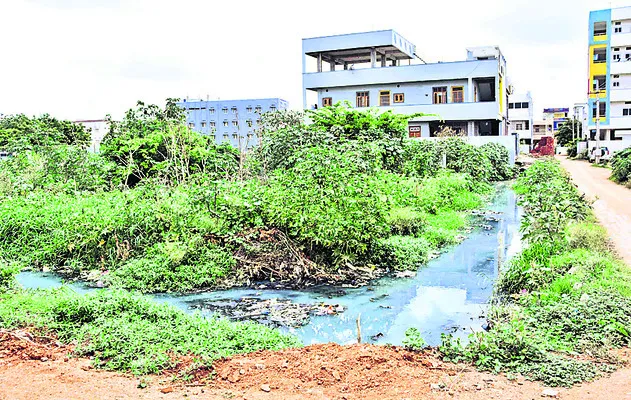 సోమవా