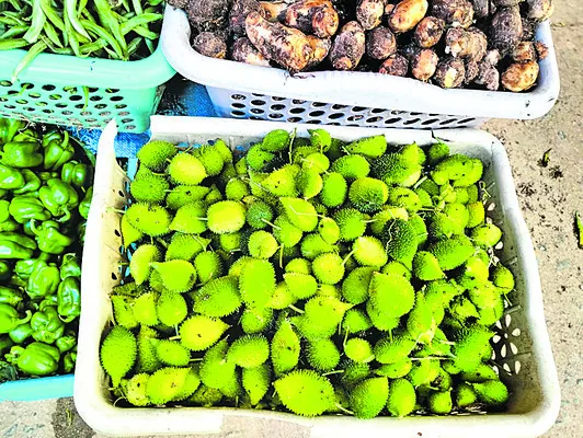 అడవి కాకర అధరహో