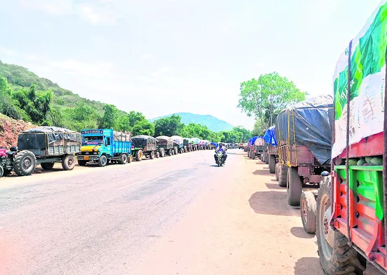 కాయలు