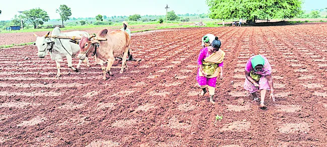 కొరత చూపి.. రైతులను దోచేసి 