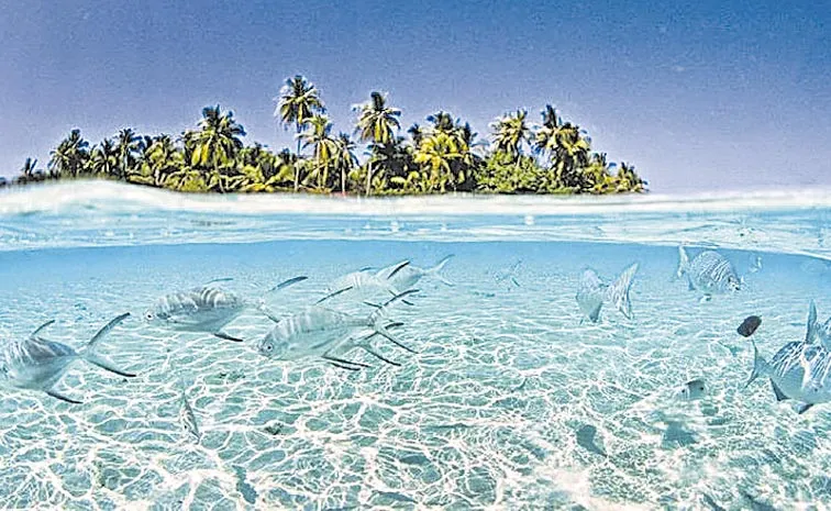 Tuvalu: More Than Third Of Country Population Has Applied To Relocate