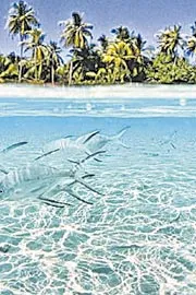 Tuvalu: More Than Third Of Country Population Has Applied To Relocate10