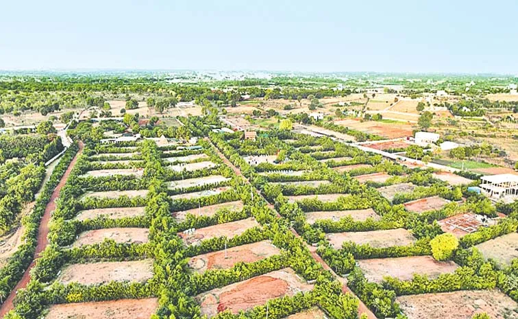 How the Japanese Miyawaki Method is Greening India's ...