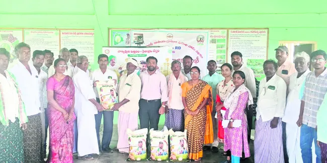 నాణ్యమైన విత్తనాలతో అత్యధిక దిగుబడులు