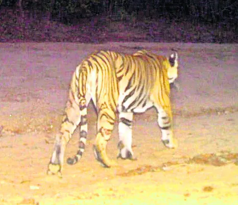 ఇక కన్జర్వేషన్!