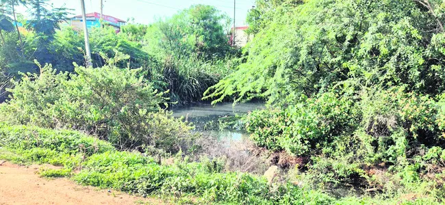 పట్టణ ప్రణాళిక ఖరారు