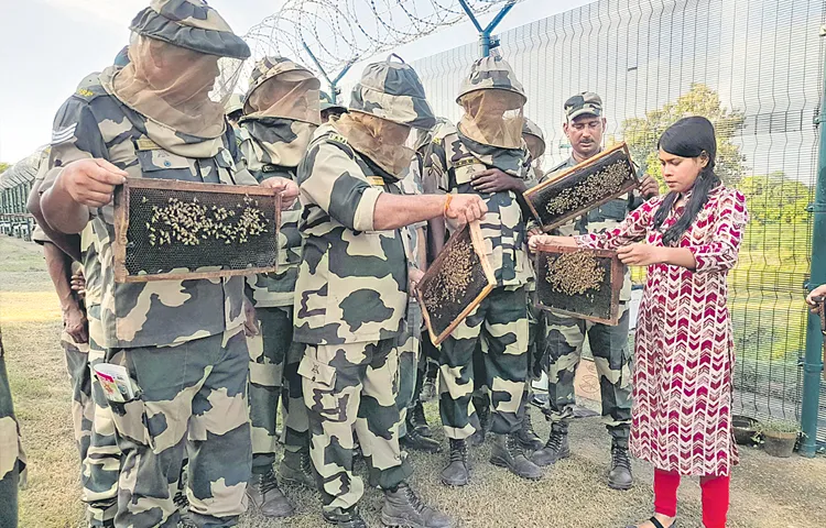 Bees help Indian Border Force