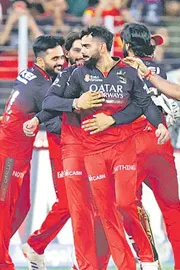Royal Challengers Bangalore are new champion of IPL 202511