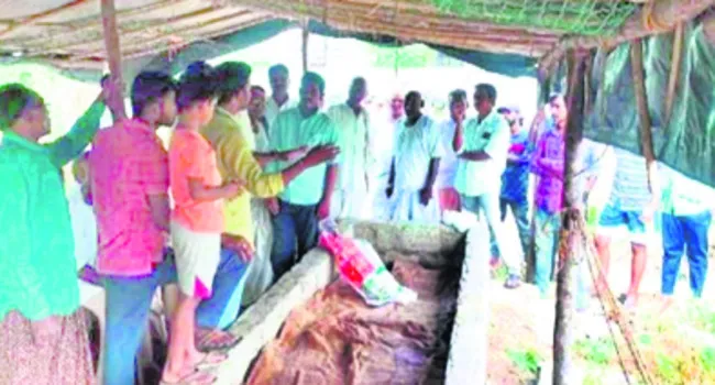 సేంద్రియం.. రైతుకు సాయం