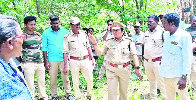 కార్ప