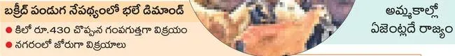 పొట్టేల్‌.. 