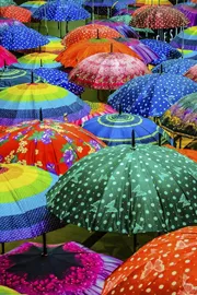 Early Rains demand for raincoats and umbrellas!2