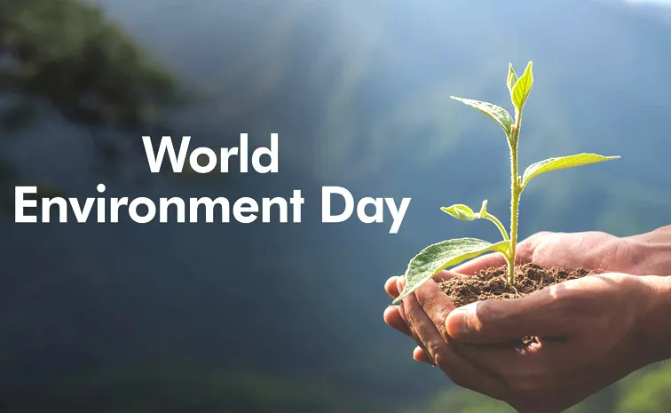 World Environment Day:  These women fighting environmental problems6