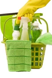 World Environment Day: Eco friendly cleaning products Green Feels4