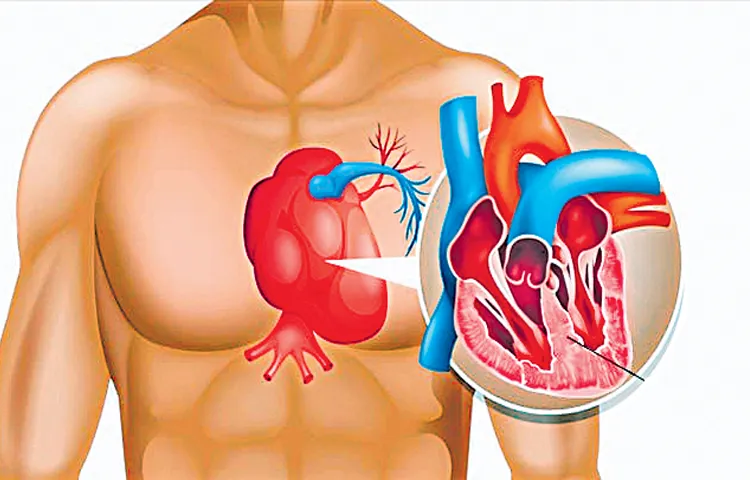 Men are twice as likely to die of broken heart syndrome than women