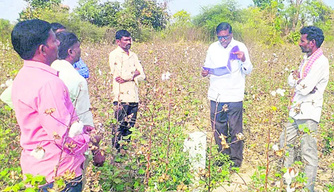సాగుకేది ‘నీటి వసతి’..?