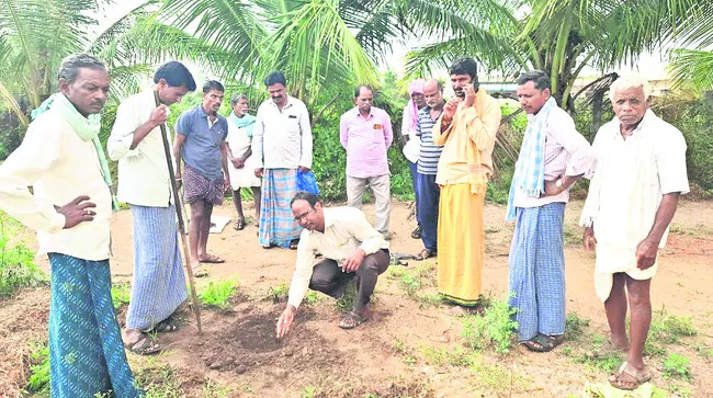 రైతుక