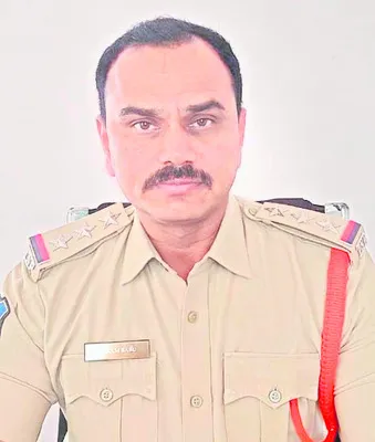 నిపుణుల అభిప్రాయం 
