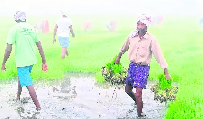 మళ్లీ ఆదర్శ రైతులు!