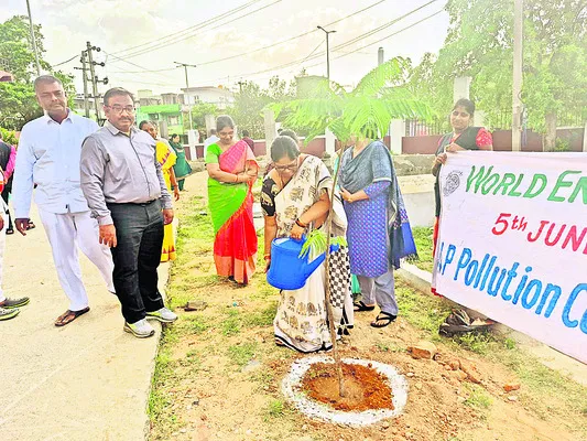 కాయలొ