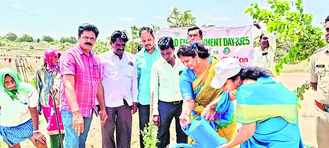 మొక్కలతోనే మానవ మనుగడ

