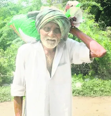 వృద్ధులకూ తప్పని పరేషన్