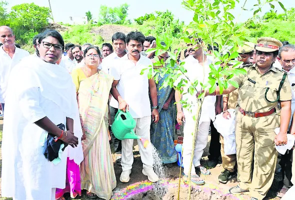 మొక్కలతో పర్యావరణ పరిరక్షణ 