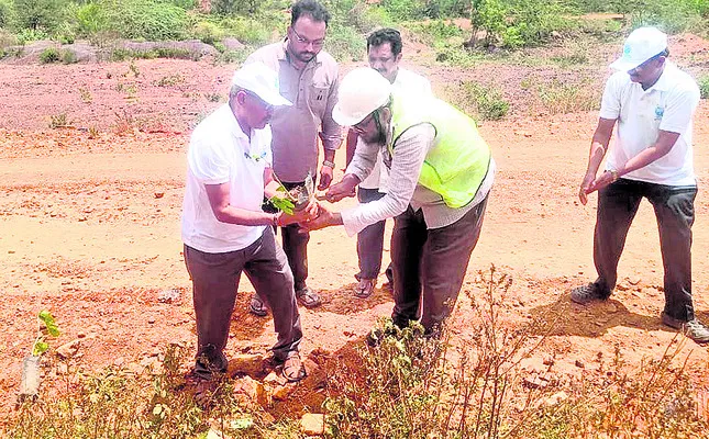 మొక్కలు నాటి సంరక్షించండి