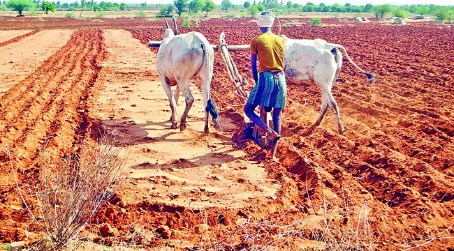 అన్నదాతకు రిక్తహస్తం!