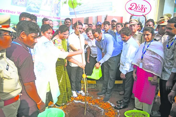 నాటిన