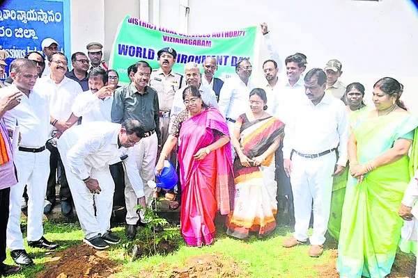 మొక్కలతో వాతావరణంలో సమతుల్యం