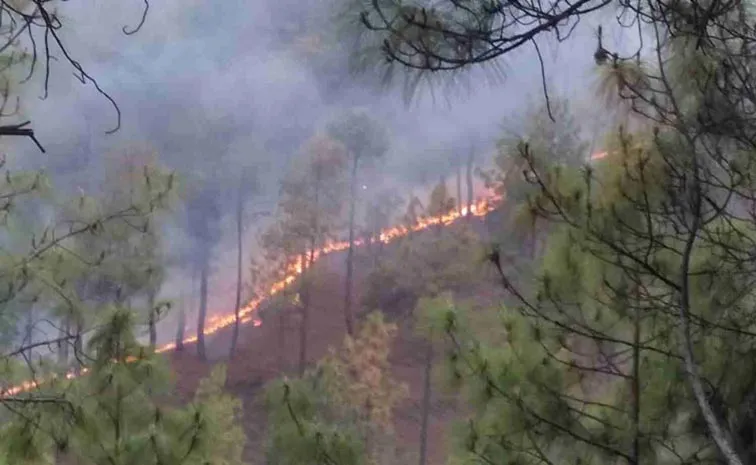 Satellite reveals hidden environmental crisis in Manipur, Arunachal